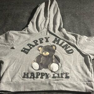 A grey bear hoodie with black striped sleeves